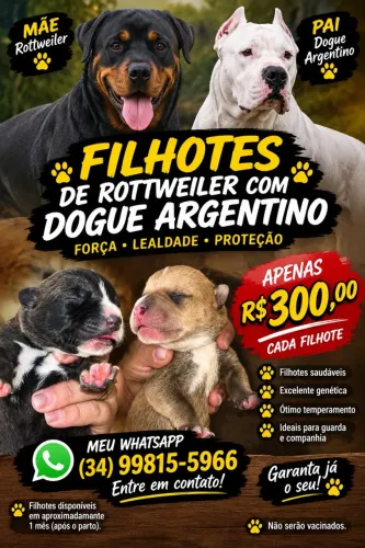 Vende-se rottweiler com dog argentino