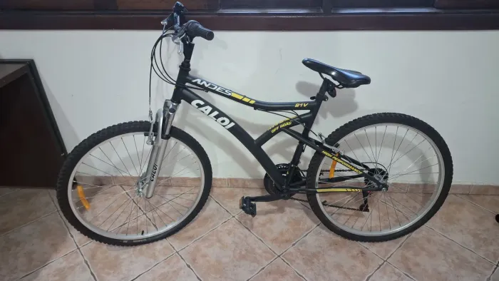 Bicicleta Caloi Andes