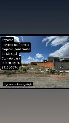 Repasso terreno no floresta tropical