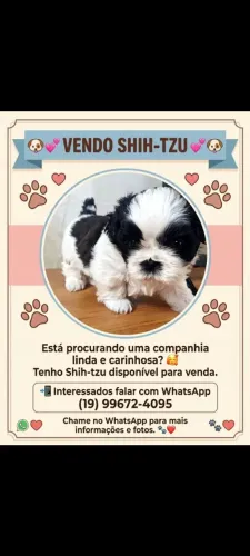 Vende se 