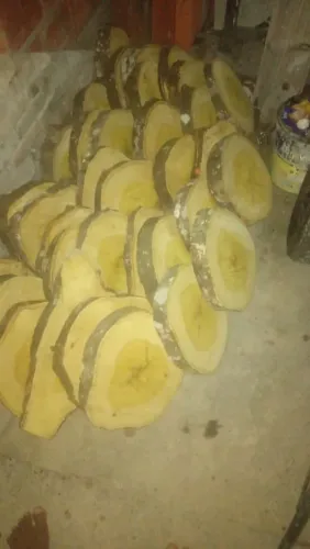 Vende-se para fazer tábua para carne ( JAQUEIRA)