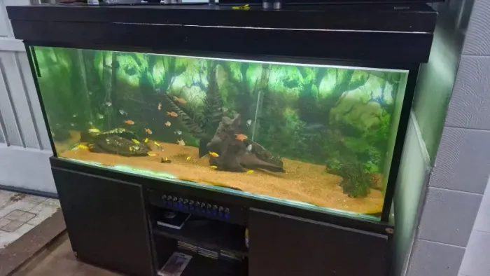 Aquario 500 Litros