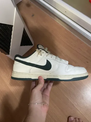 Dunk low 40