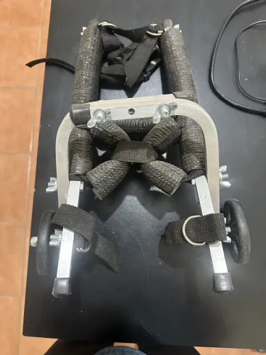 Cadeira de duas rodas para pet