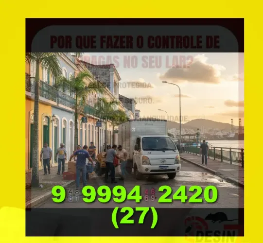 Frete Disponível Agora - Transporte Seguro e Rápido para Toda Região