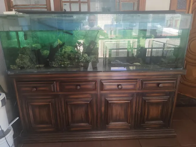 Aquário de 600 litros