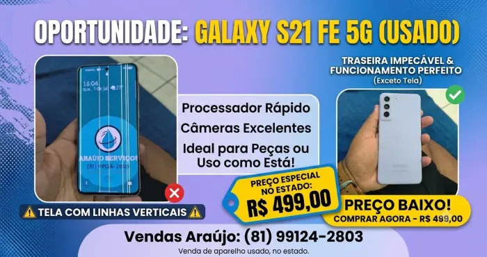 S21 fe