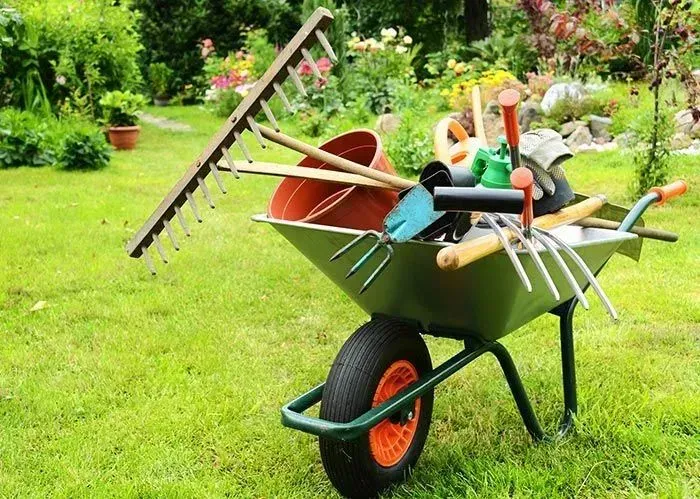 Serviços de jardim 
