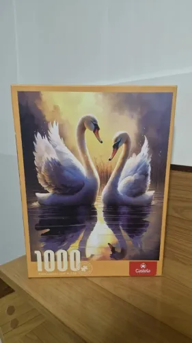 Quebra-Cabeça Cisnes ao Pôr do Sol (1000 Peças)