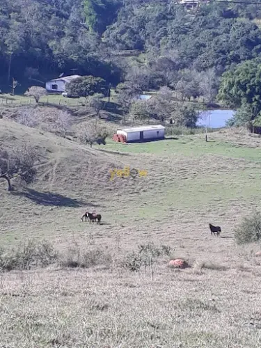 Rural Fazenda em Santa Isabel