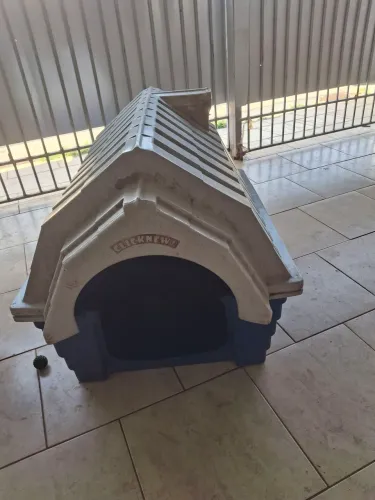 Casinha de cachorro 