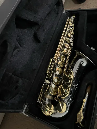 Saxofone alto Eagle Black Ônix SA-500BG