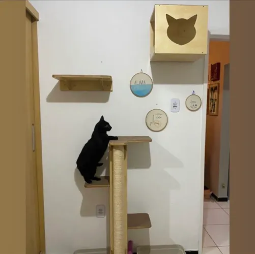 Móveis para gatos 