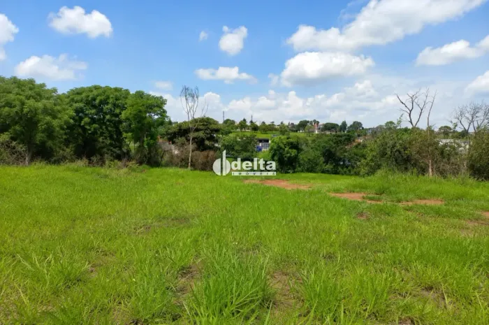 Terreno disponível para venda no bairro Vigilato Pereira em Uberlândia-MG