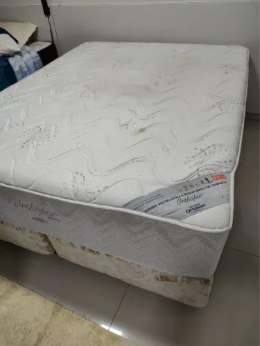 Cama 