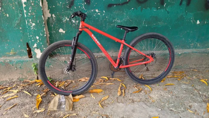 Bicicleta