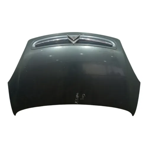 Capô Citroen Picasso Xsara 2001 2002 2003 2004 2005 A 2012