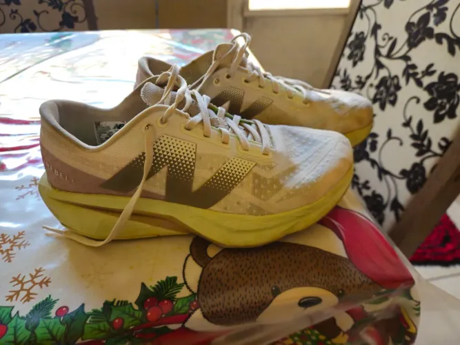 Tenis