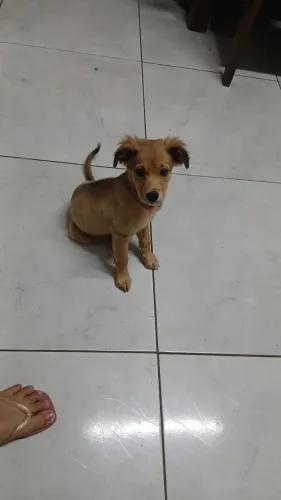 Doação