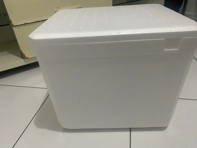 Caixa de isopor 