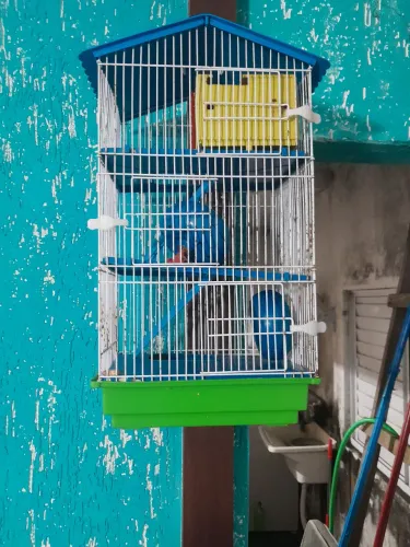 Gaiola de Hamster