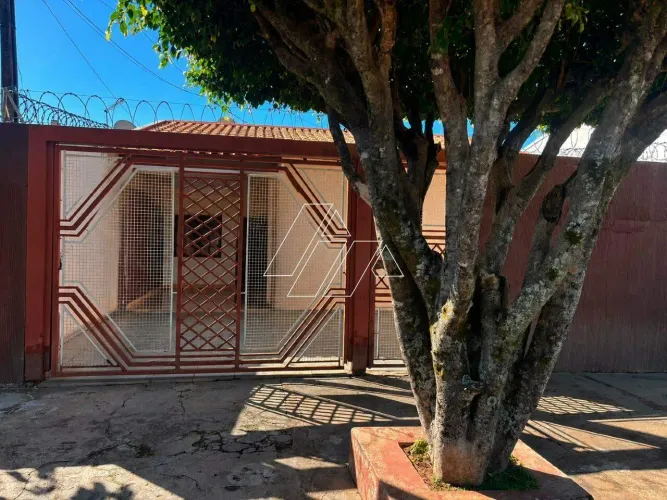 Casa com 3 Quartos (1 Suíte) à Venda em Padre Nóbrega Marília/SP