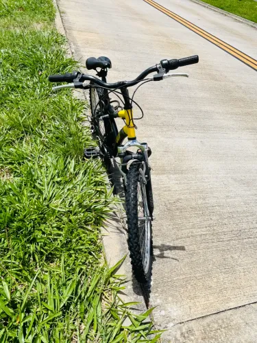 Bicicleta