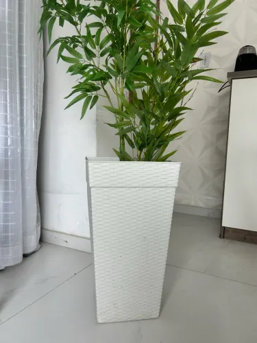 Vaso com planta
