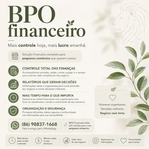 Organização Financeira para Pequenas Empresas 