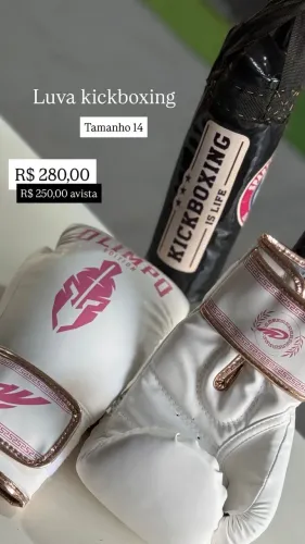 Luvas Kickboxing e Muay Thai