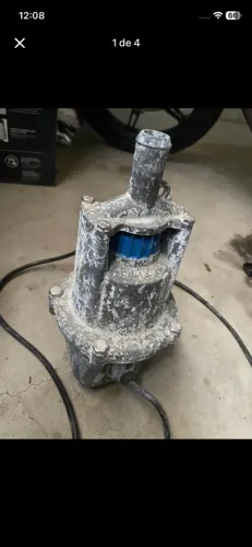 Bomba d?água sapinho 