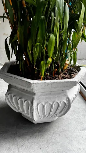 Vaso grande de concreto decorativo com bambu-da-sorte - 72 cm