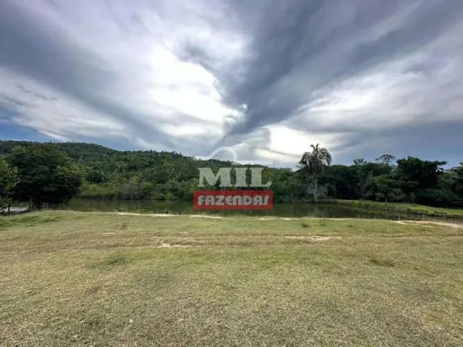 Fazenda 56,6 alqueires ( 274 hectares) Jussara - GO