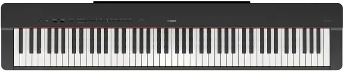 YAMAHA PIANO P225B VFG1060