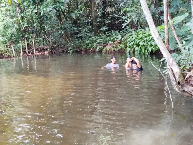 VENDE EXCELENTE PROPRIEDADE EM MORROS- MA, 35 Ha .