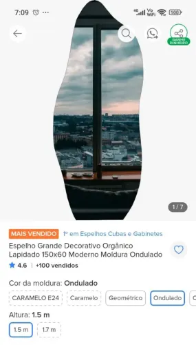 Espelho corpo inteiro - novo