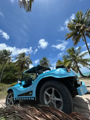 Bugre Buggy IV E V 1985