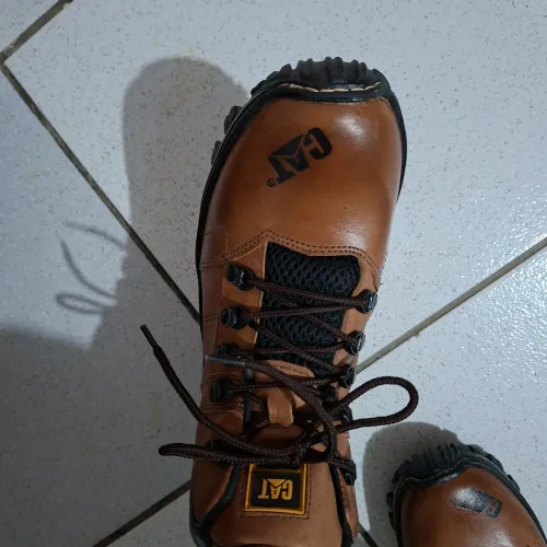 Bota