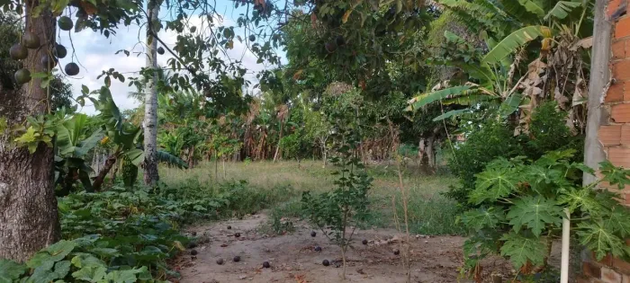 Vendo sítio em Areia Branca 