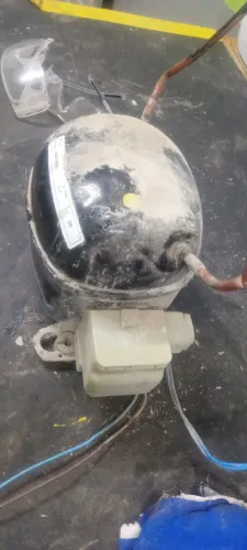 Compressor de bebedouro