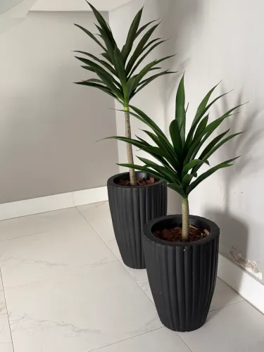 Vasos preto
