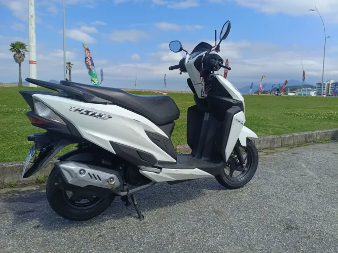Elite 2025 $12.500