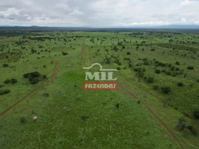 Fazenda 1000 Alqueires (4.840 hectares) Formosa - GO