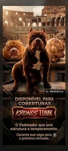 PITMONSTER
