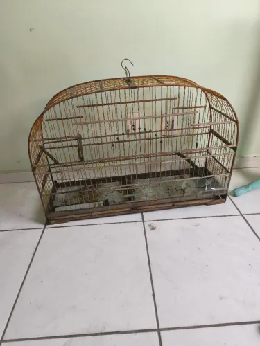 GAIOLA