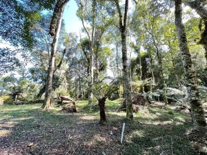 Terreno no bairro Mato Queimado