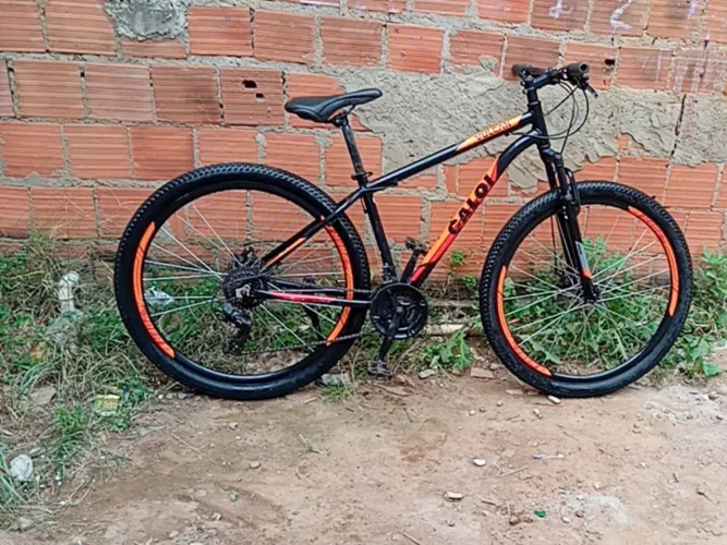 Vendo ou troco aro 29 