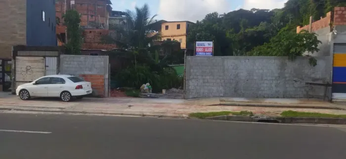 Lote venda Gal Costa