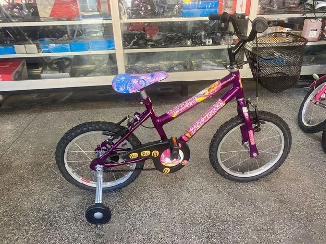 Bicicleta Samy Aro 16 Feminina Especial.