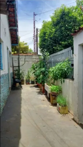 Vendo essa casa no Sol Nascente (Trecho 3) 